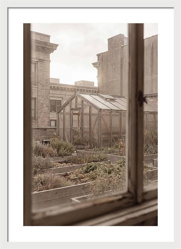 Urban Oasis Above The City