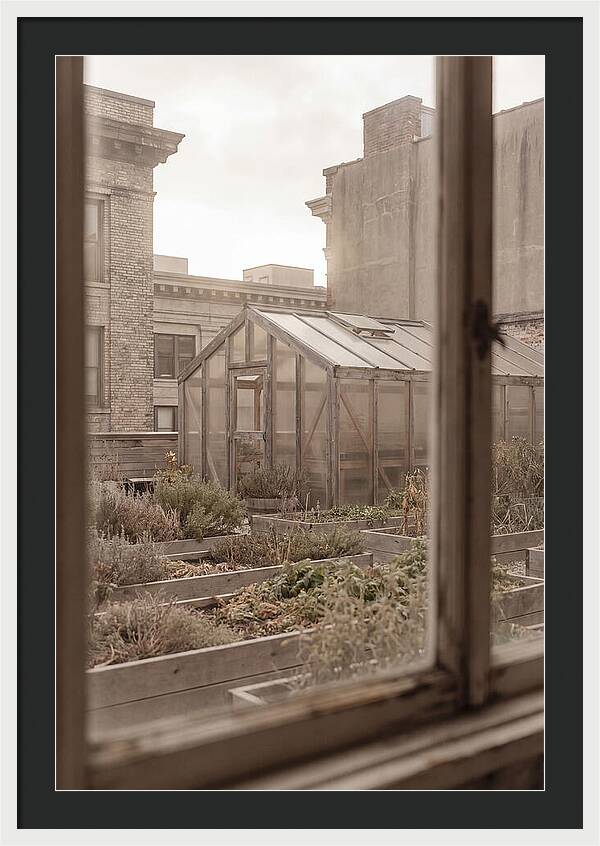 Urban Oasis Above The City