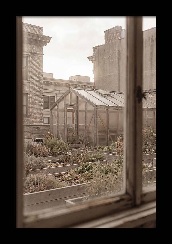 Urban Oasis Above The City