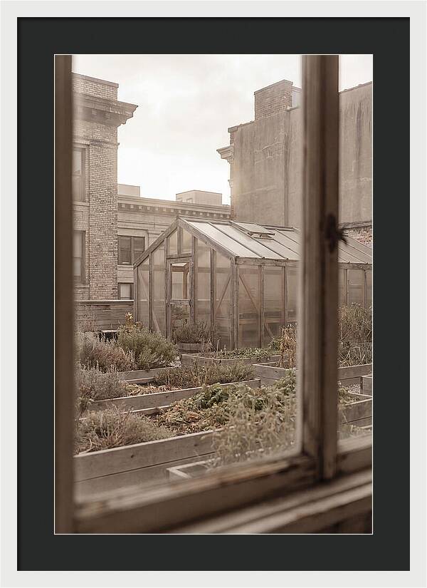 Urban Oasis Above The City