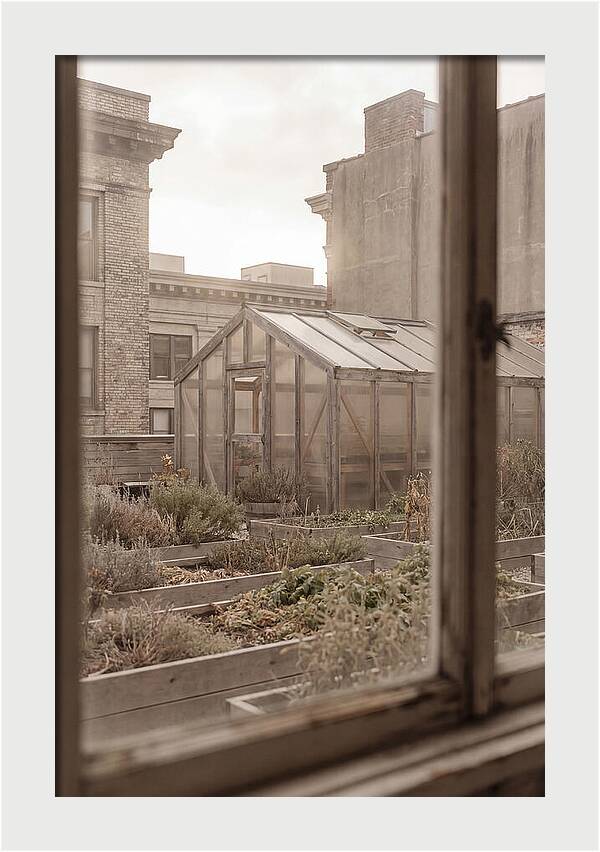 Urban Oasis Above The City