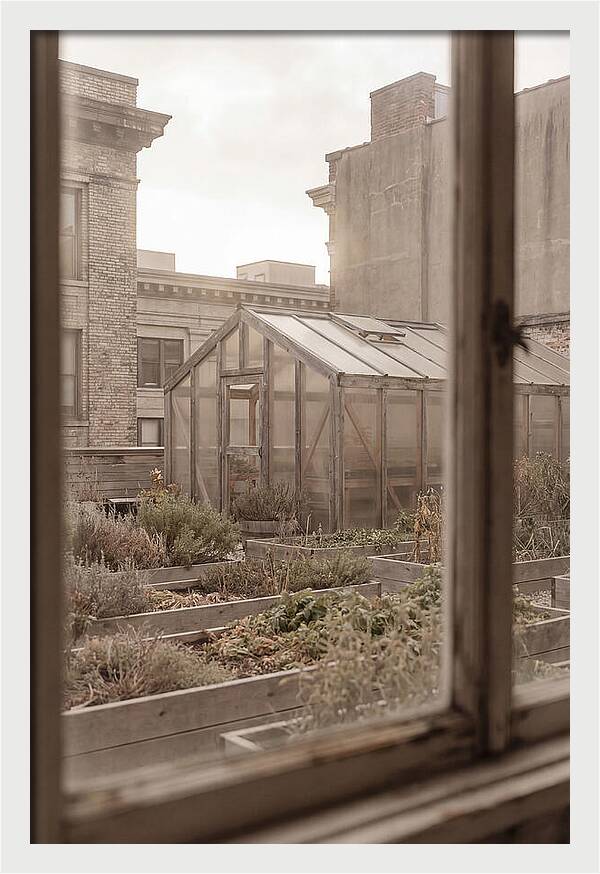 Urban Oasis Above The City