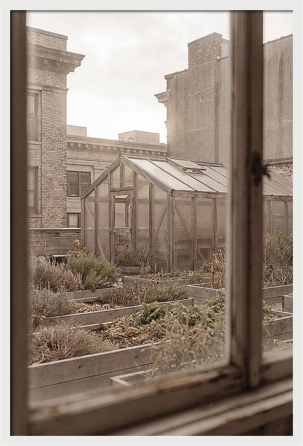 Urban Oasis Above The City