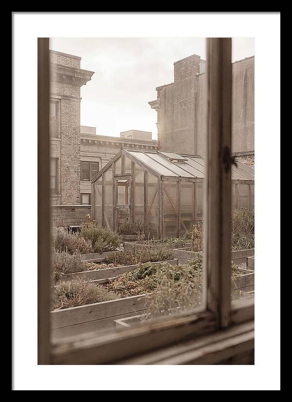 Urban Oasis Above The City