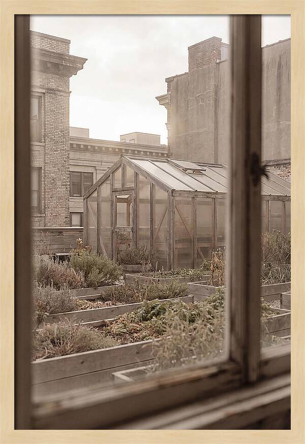 Urban Oasis Above The City