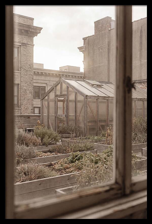 Urban Oasis Above The City