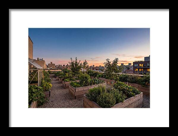 Urban Rooftop Garden At Sunset