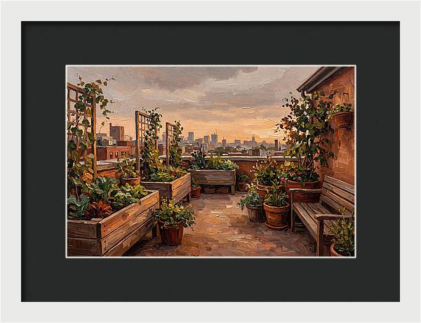 Urban Rooftop Serenity