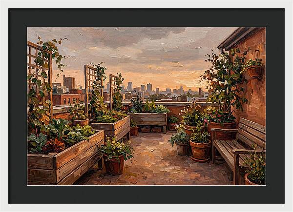 Urban Rooftop Serenity