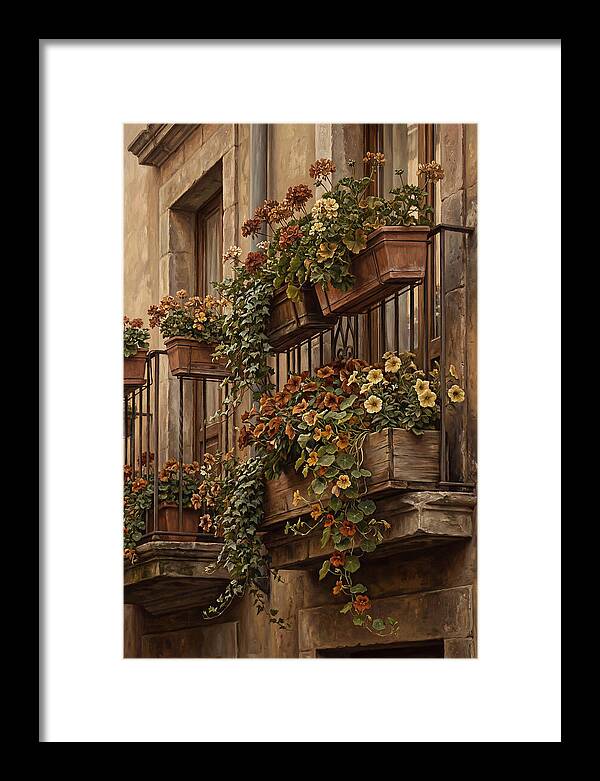 Urban Window Boxes Overflowing With Flowers