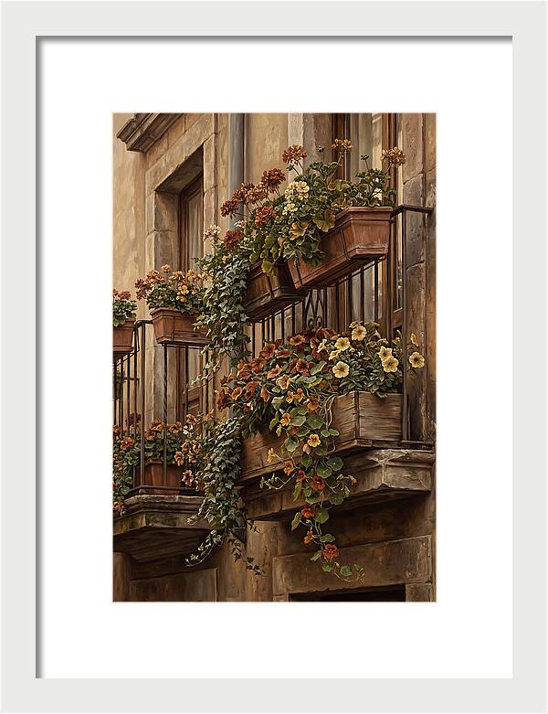Urban Window Boxes Overflowing With Flowers