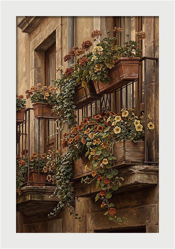 Urban Window Boxes Overflowing With Flowers
