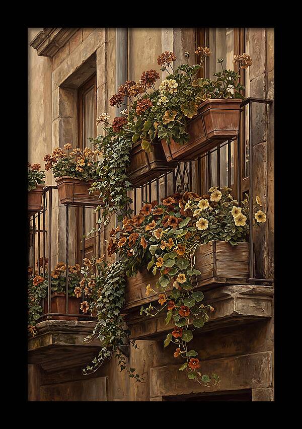 Urban Window Boxes Overflowing With Flowers