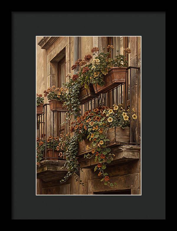 Urban Window Boxes Overflowing With Flowers