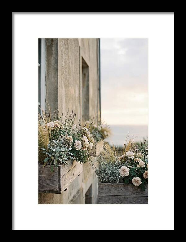 Urban Window Boxes Overflowing With Flowers