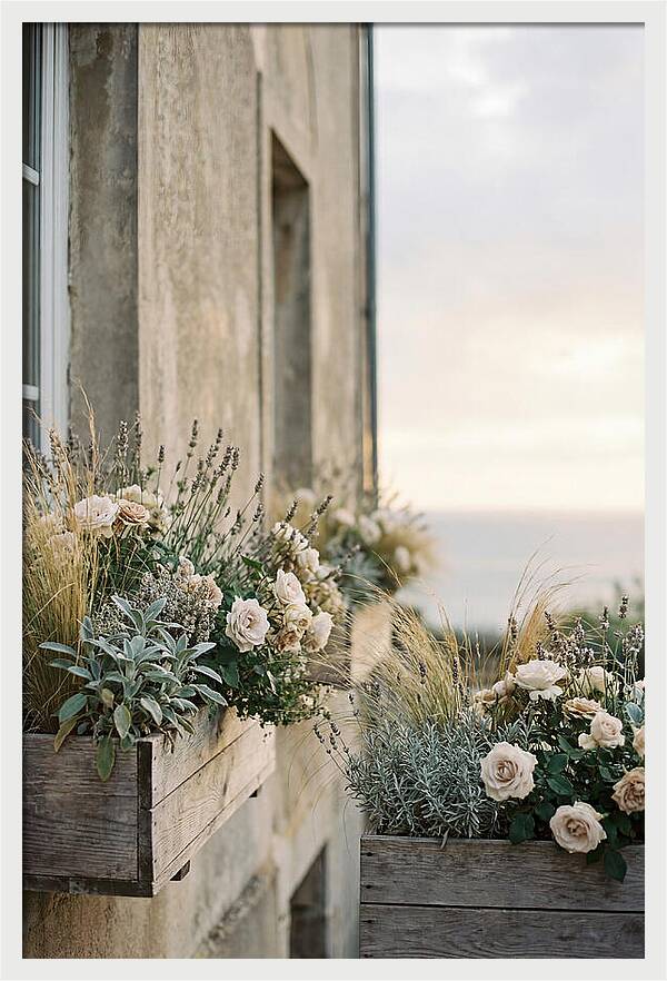 Urban Window Boxes Overflowing With Flowers