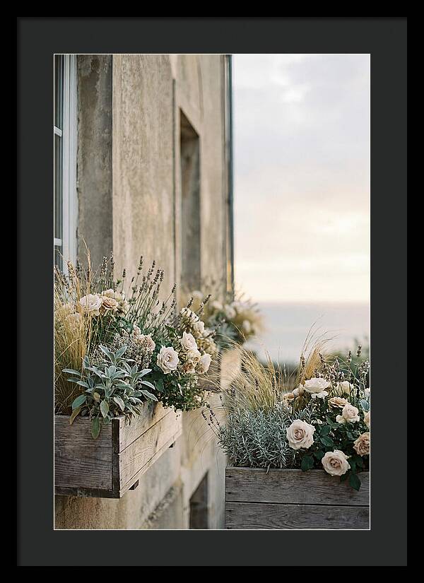 Urban Window Boxes Overflowing With Flowers