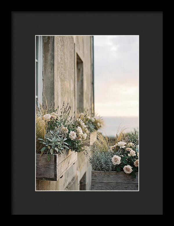 Urban Window Boxes Overflowing With Flowers