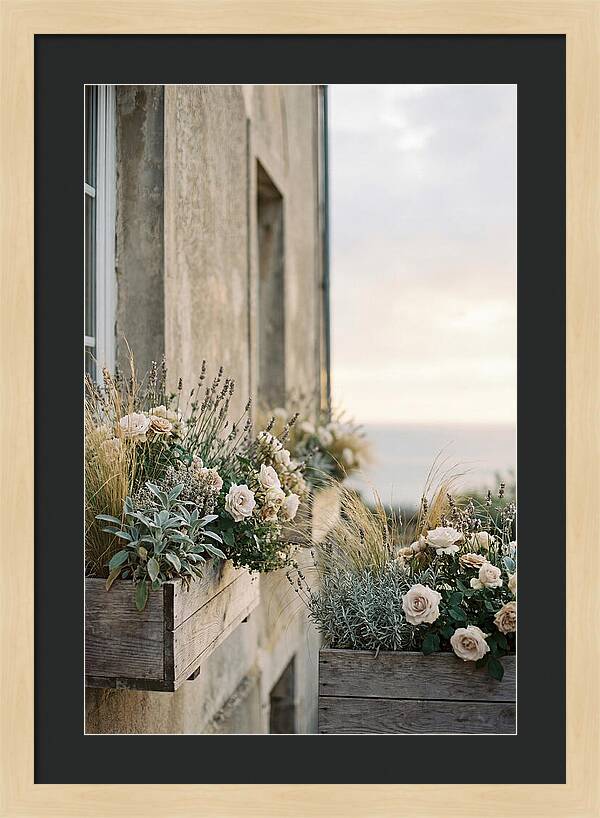 Urban Window Boxes Overflowing With Flowers