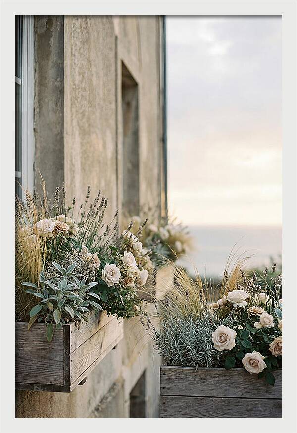 Urban Window Boxes Overflowing With Flowers