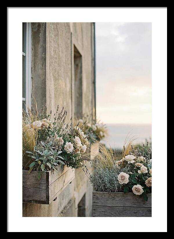 Urban Window Boxes Overflowing With Flowers