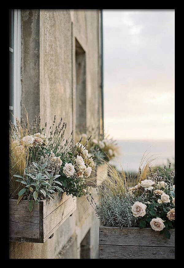 Urban Window Boxes Overflowing With Flowers