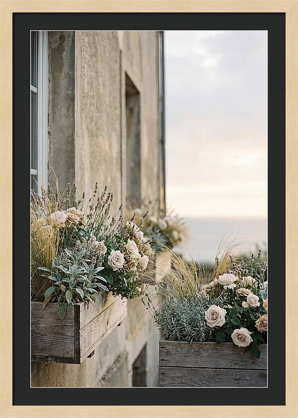 Urban Window Boxes Overflowing With Flowers