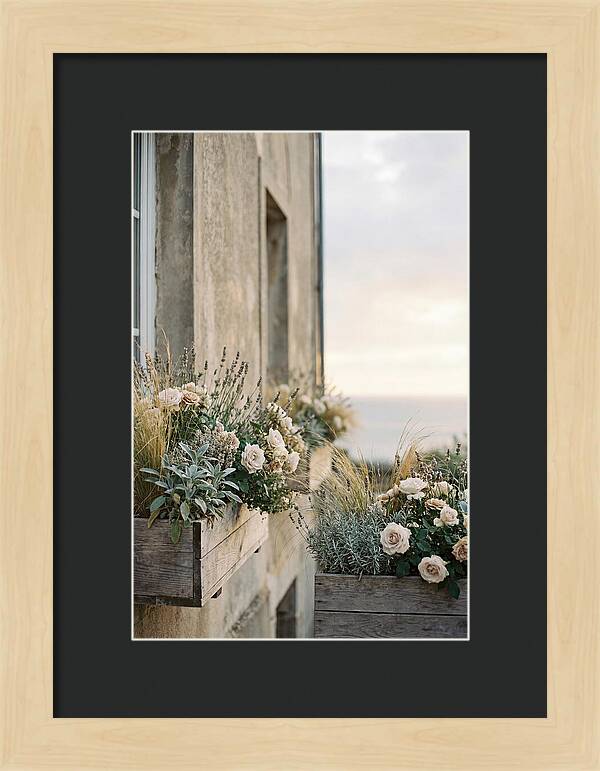 Urban Window Boxes Overflowing With Flowers