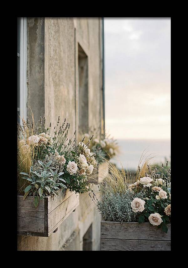 Urban Window Boxes Overflowing With Flowers