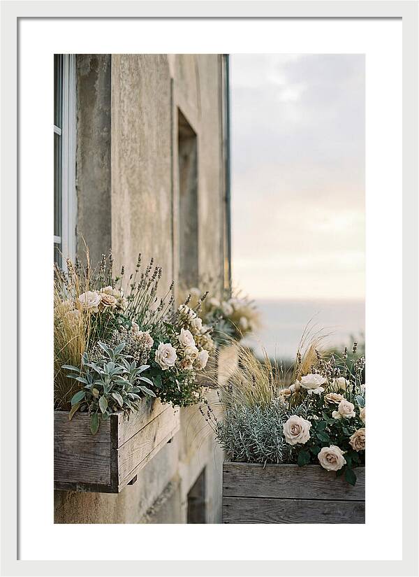Urban Window Boxes Overflowing With Flowers