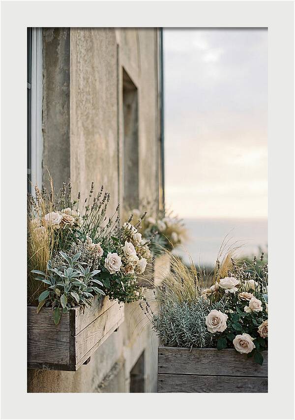 Urban Window Boxes Overflowing With Flowers