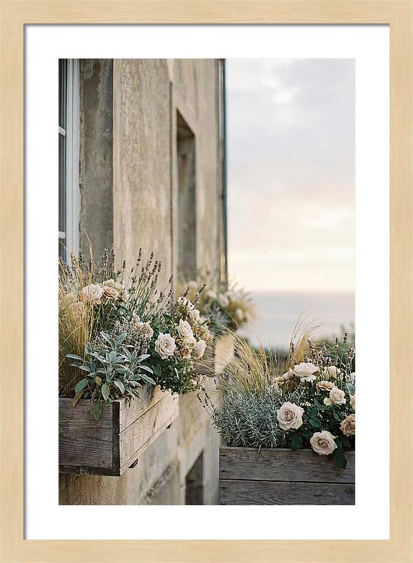 Urban Window Boxes Overflowing With Flowers