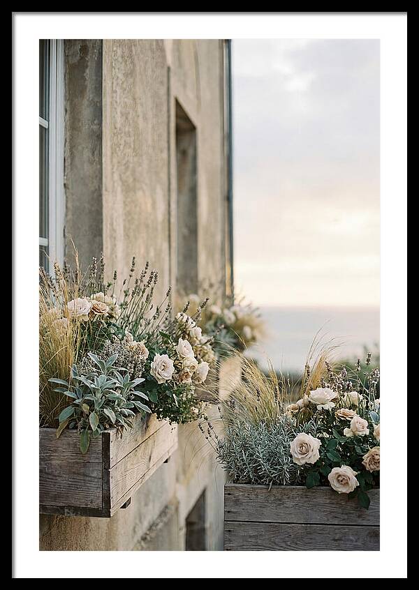 Urban Window Boxes Overflowing With Flowers