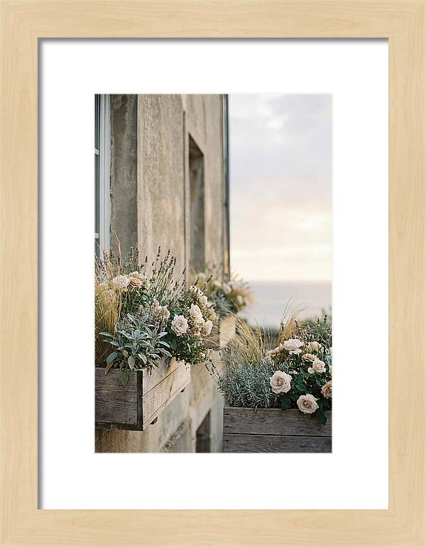 Urban Window Boxes Overflowing With Flowers