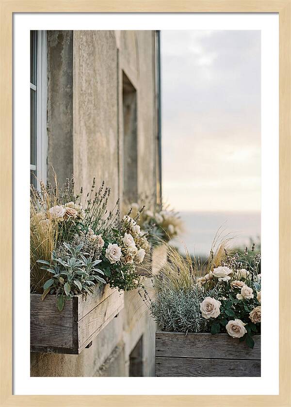 Urban Window Boxes Overflowing With Flowers