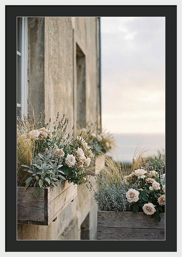 Urban Window Boxes Overflowing With Flowers