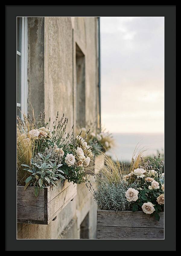 Urban Window Boxes Overflowing With Flowers