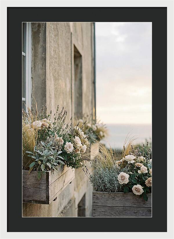 Urban Window Boxes Overflowing With Flowers