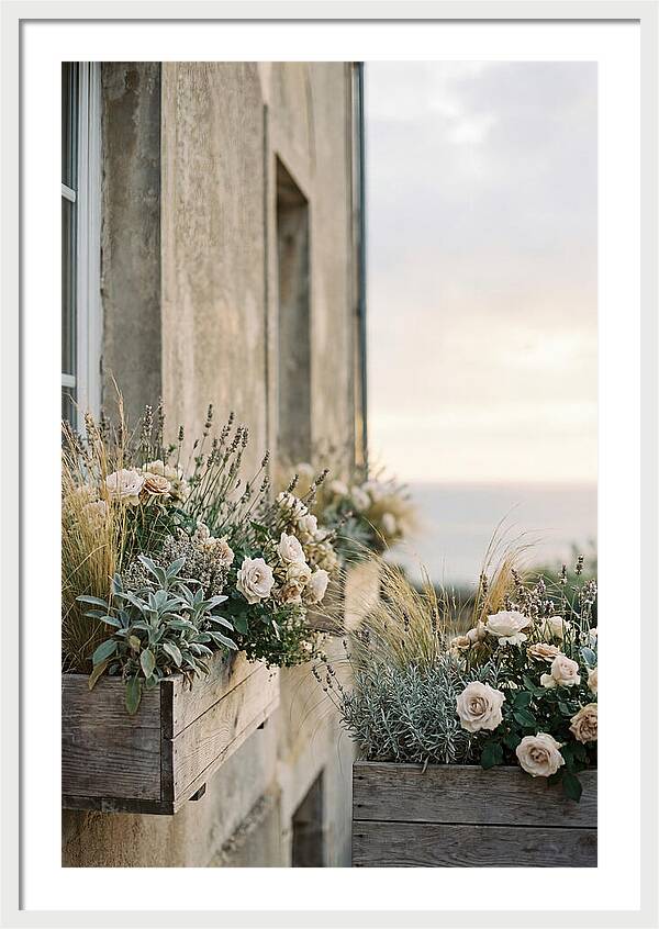 Urban Window Boxes Overflowing With Flowers