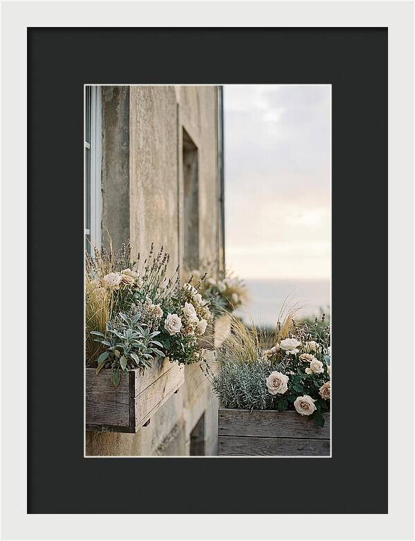 Urban Window Boxes Overflowing With Flowers
