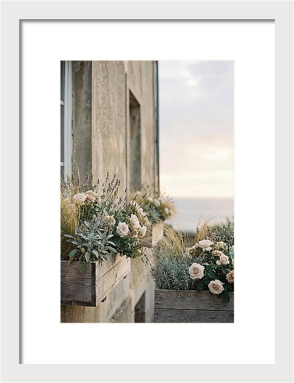 Urban Window Boxes Overflowing With Flowers