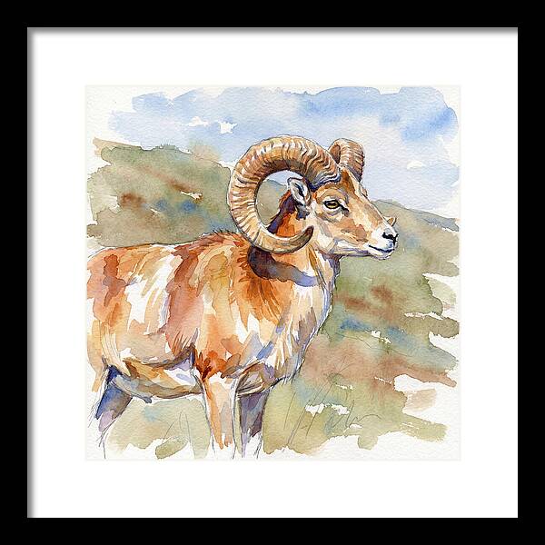 Urial In Watercolor Splendor
