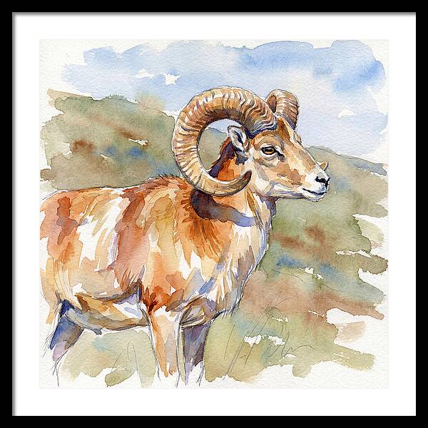 Urial In Watercolor Splendor