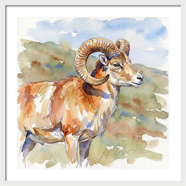 Urial In Watercolor Splendor