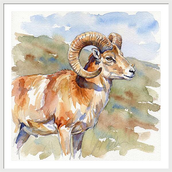 Urial In Watercolor Splendor