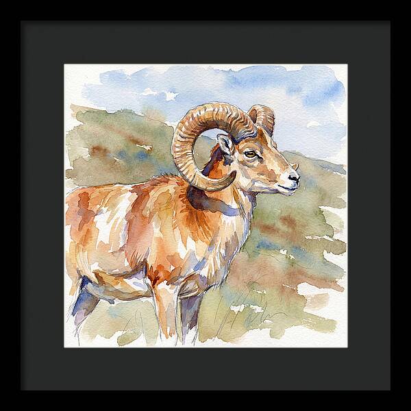 Urial In Watercolor Splendor