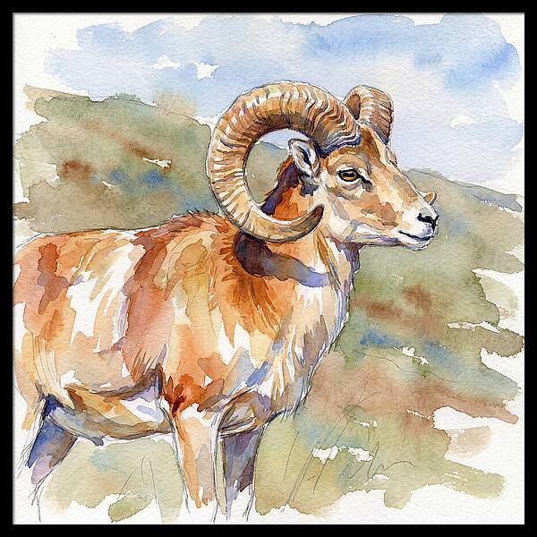 Urial In Watercolor Splendor