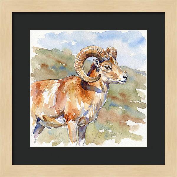 Urial In Watercolor Splendor