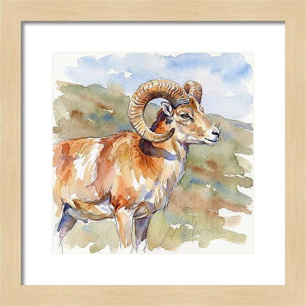 Urial In Watercolor Splendor