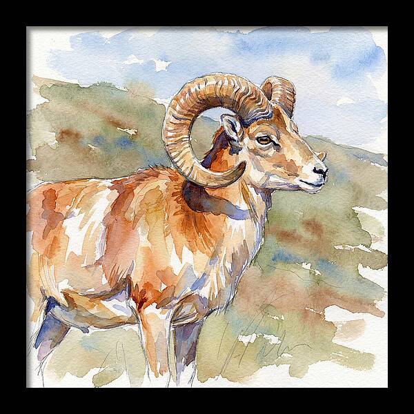Urial In Watercolor Splendor